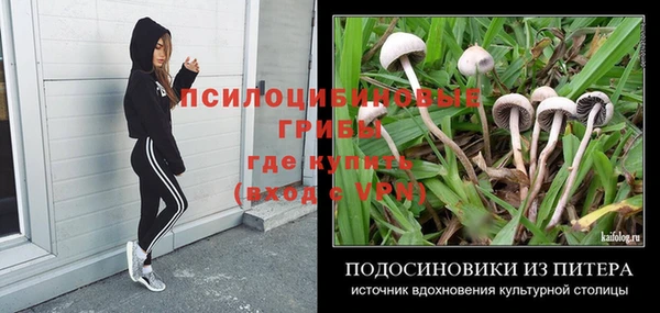 амф Михайлов