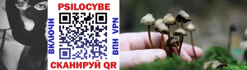 Купить где  Севск  Псилоцибиновые грибы Psilocybine cubensis 